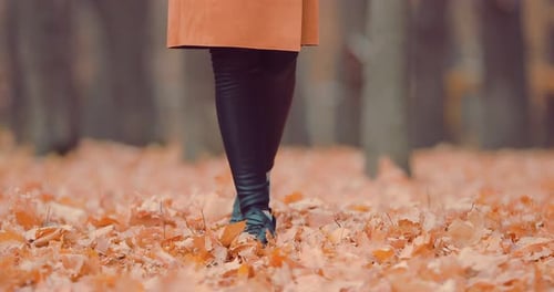 Unrecognizable Woman Feet Walking in Autumn Park Covered with Yellow Leaves