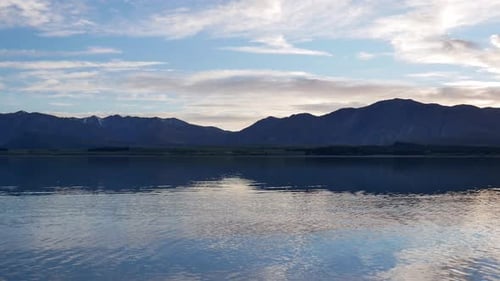 Panning shot Lake Tekapo in early morning with mallard ducks