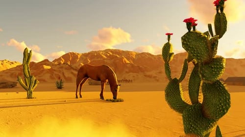 Caballo del desierto