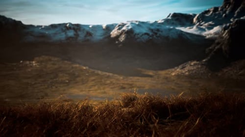 Dry Grass and Snow Covered Mountains in Alaska