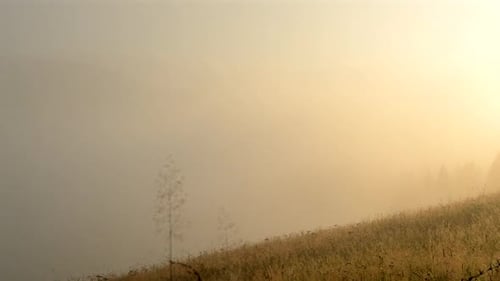 Golden Hour Landscape with Morning Fog on Hills
