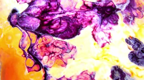 Abstract Color Mixing and Motion Art