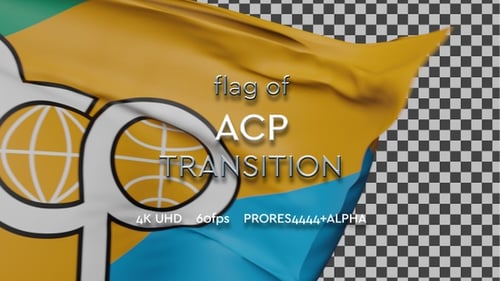 Realistic Flag Waving Logo Reveal Animation