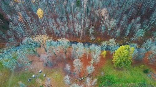River and Colorful Forest Woodland at Autumn Trees Forest Landscape Aerial Shot. 4K Video