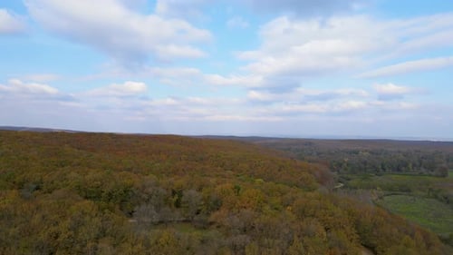 Aerial View of Forest in Autumn Colors