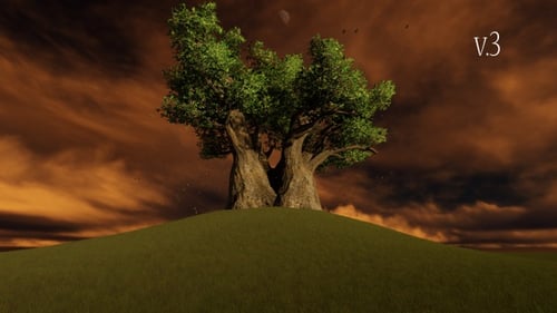 Ancient Tree on Grassy Hill at Sunset with Flying Particles