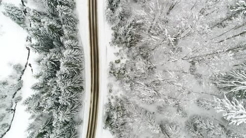 AERIAL: Car Driving Along the Forest Road in Winter