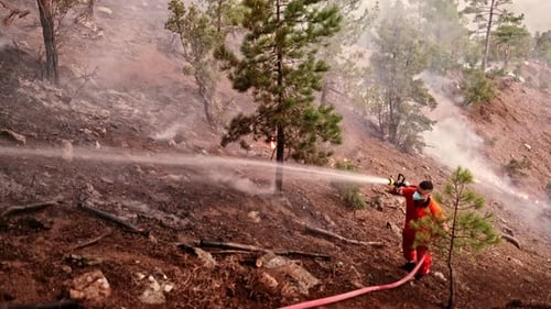 Firefighter Extinguishing Forest Fire