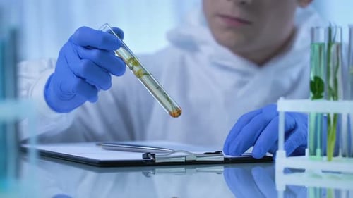 Biólogo observa una planta en un tubo de ensayo y escribe información sobre los cambios en el crecimiento