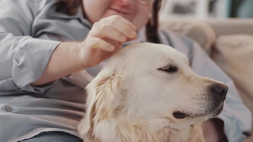 Gentle Person Pets Fluffy White Dog on Couch