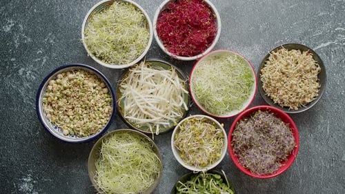Vue de dessus de différents types de germes de micropousses dans des bols colorés. Pousses de radis, de chou, d'ail