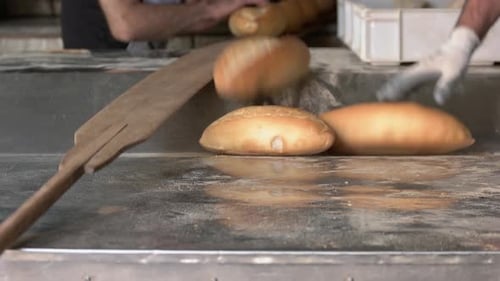 Freshly Baked Bread Loaves on Baking Tray