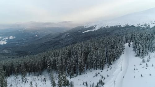 Winterland, survolez un sapin dans la tempête de neige. Froid, Carpatien.