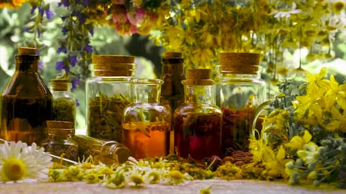 Herbal Oils and Tinctures for Wellness