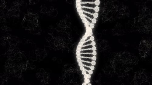 Glowing Rotating DNA Double Helix Structure Animation