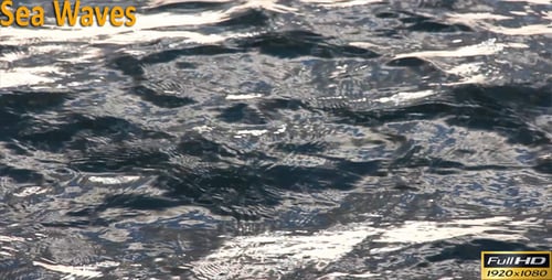 Sea Waves