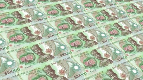 Brunei Money / 10000 Brunei Dollar 4K