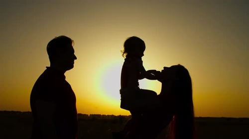 Silhouette Family Playing Together in Sunset Field