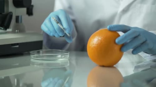 Cosmetologist Extracting Essential Oils From Orange, Citrus Vitamin Products
