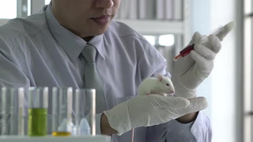 Researcher Injects White Mouse in Laboratory Setting