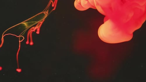 Abstract Red and Yellow Ink Flowing in Water