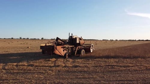 Combine Harvester in the Field Pours Grain Into the Body of a Tractor Truck Shooting From a Height