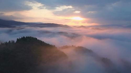 Sunrise above Misty Forest