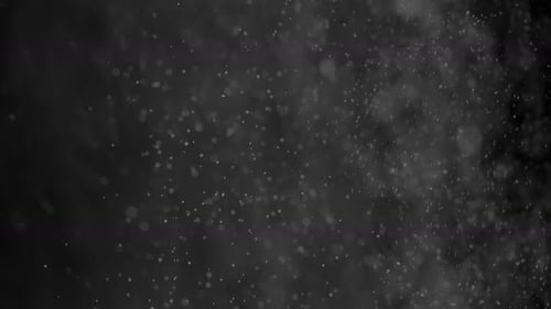 Dust Particles Floating on Black Background