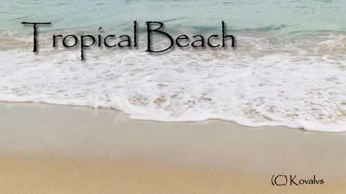 Tropischer Strand