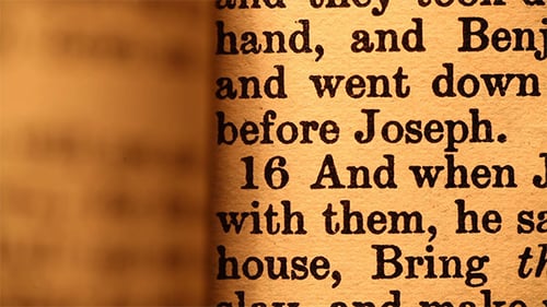 Alte Heilige Bibel