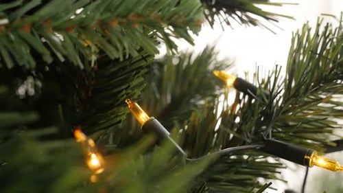 Christmas Tree Lights Close Up Festive Scene