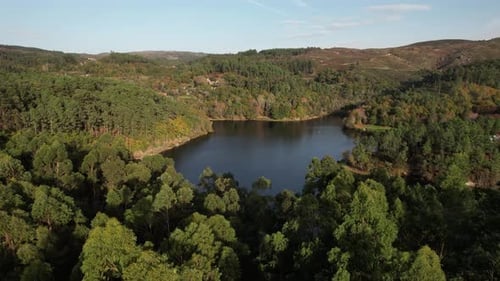 Aerial View of Tranquil Lake Surrounded by Forests