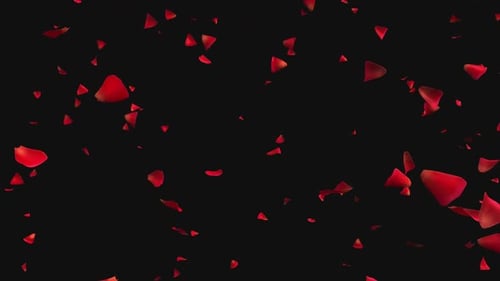 Romantic Red Rose Petals Falling Seamless Loop Background