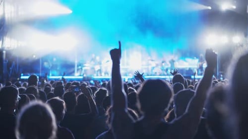 Crowd Enjoying Live Music Concert at Night