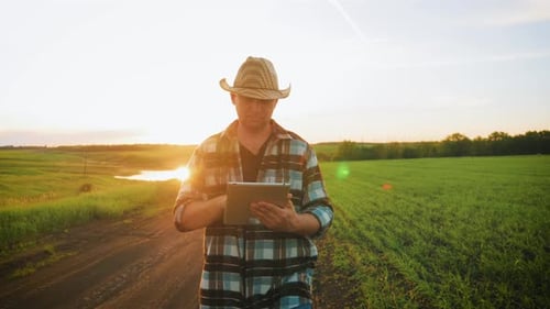 Young Adult Farmer Uses Tablet in Field at Sunset