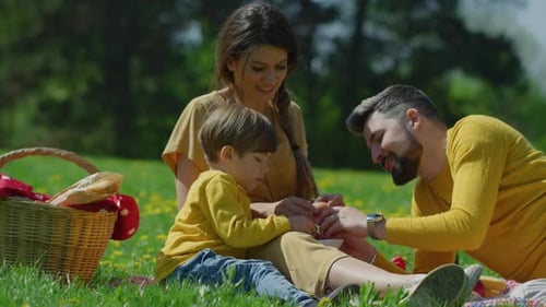 Family Enjoys Picnic in Park on Sunny Day
