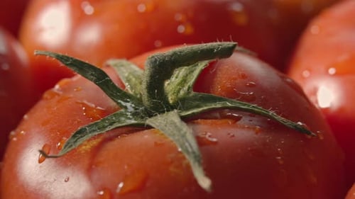 Closeup of tomatoes