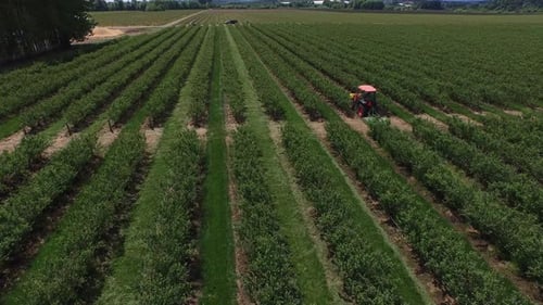 Aerial View of Tractor Working in Farm Field