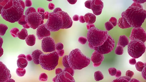 Raspberries Falling on Garden Background