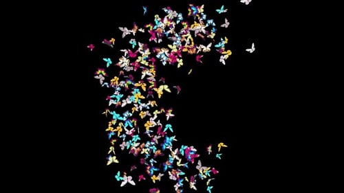 01 Schmetterling HD