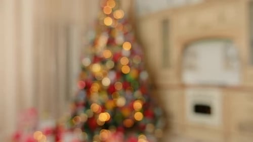 Christmas Tree on the Light Kitchen with Nice Boke