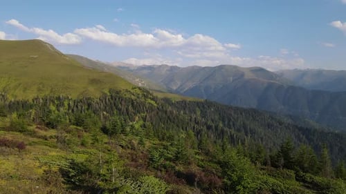 Alpine Meadows