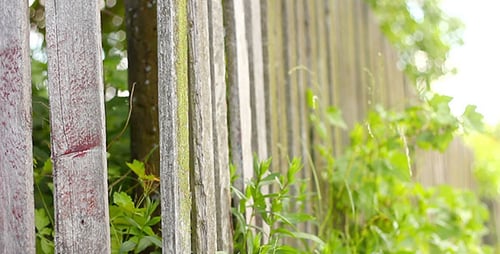 Village Wooden Fence 4