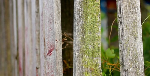 Wooden Fence And Village House