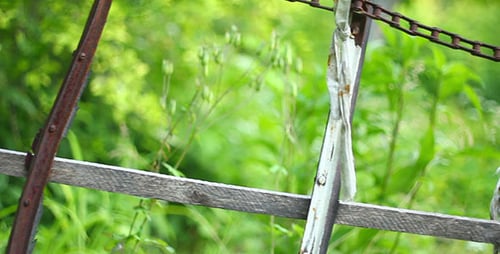 Green Grass And Village Fence