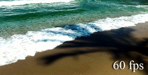 Schatten von Palmen und Wellen am Tropical Beach