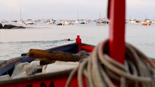 Serene Ocean Scene with Boats and Swimmer