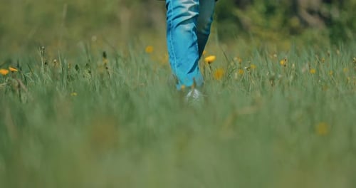 Girl Walks in Jeans Sneakers Over the Grass
