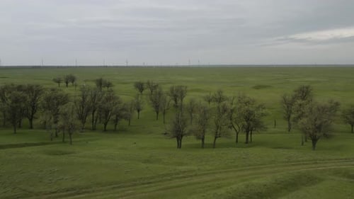 Flying Over an Agricultural Field in Spring