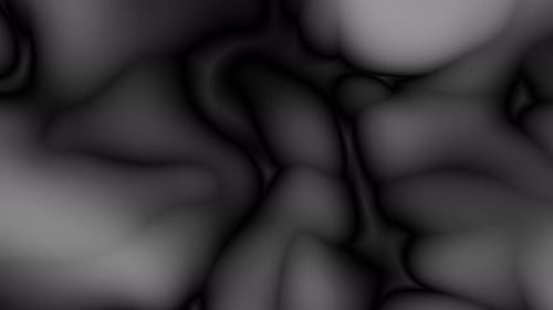 Organic Black and White Fluid Motion Background Loop